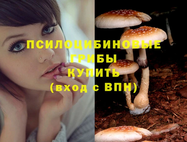 бутират Арсеньев
